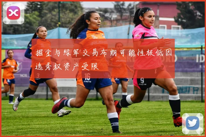 掘金与绿军交易布朗可能性极低因选秀权资产受限